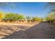 Expansive backyard with desert landscaping and mature trees, offering a blank canvas for outdoor living at 16716 S 32Nd Ln, Phoenix, AZ 85045