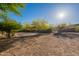 Picturesque backyard featuring desert landscaping with mature trees, perfect for creating a private retreat at 16716 S 32Nd Ln, Phoenix, AZ 85045
