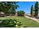 Well-maintained backyard with lush green lawn, mature trees, and an irrigation system for easy maintenance at 1870 E Oakland St, Gilbert, AZ 85295