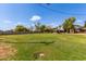 Wide view of the backyard, with a spacious lawn and beautiful landscaping at 2043 E Quartz St, Mesa, AZ 85213
