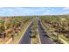 Aerial view of a palm-lined street and water feature, showcasing the well-planned community at 43271 W Little Dr, Maricopa, AZ 85138