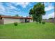Spacious backyard with green lawn, patio, shade trees, hot tub, and block fencing at 4333 E Desert Cactus St, Phoenix, AZ 85032