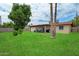 Expansive backyard with a manicured lawn, mature trees, covered patio, and privacy fencing at 4333 E Desert Cactus St, Phoenix, AZ 85032
