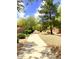 Picturesque neighborhood walkway lined with mature trees and manicured bushes at 6030 W Topeka Dr, Glendale, AZ 85308