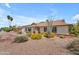 Well maintained single-story home with desert landscaping including vibrant flowering plants and an attractive facade at 928 W Natal Ave, Mesa, AZ 85210