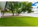 Expansive backyard featuring lush green grass, mature trees, and a secure fence, ideal for outdoor activities at 1756 N Summer Cir, Mesa, AZ 85203