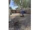 Gravel-filled backyard features a mature tree and block fence for privacy at 1794 N Agave St, Casa Grande, AZ 85122