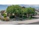 Landscaped front yard with mature trees, shrubs, and rock ground cover, enhancing curb appeal at 18731 W San Juan Ave, Litchfield Park, AZ 85340