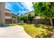 Lush backyard featuring a covered patio, garden bed, and ample space for outdoor enjoyment at 1944 N Lazona Dr, Mesa, AZ 85203