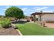 Beautiful backyard featuring a lush green lawn, mature trees, and a covered patio area for outdoor entertaining at 2229 N Middlecoff Dr, Mesa, AZ 85215