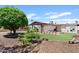 Inviting backyard with artificial turf, rock landscaping, and covered patio at 2229 N Middlecoff Dr, Mesa, AZ 85215