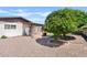 Open backyard with gravel landscaping, mature trees, and a covered patio, perfect for relaxing outdoors at 2229 N Middlecoff Dr, Mesa, AZ 85215