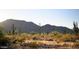 Desert landscape featuring varied cacti, scrubs and shrubs in front of mountain range at 22392 W Monona Ln, Surprise, AZ 85387