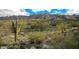 Picturesque view of saguaro cacti, mesquite trees, and native vegetation in a vast desert landscape with mountain backdrop at 22392 W Monona Ln, Surprise, AZ 85387