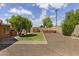 Spacious backyard with lush lawn, mature trees, and ample room for outdoor enjoyment at 3002 E Montecito Ave, Phoenix, AZ 85016