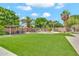 Expansive backyard featuring lush artificial turf, mature trees, and a covered patio at 3044 E Sparrow Pl, Chandler, AZ 85286