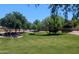Lush greenspace with mature trees and well-maintained lawns, offering a serene and inviting atmosphere at 3044 E Sparrow Pl, Chandler, AZ 85286