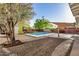 Backyard with desert landscaping, pool, shed, mature trees, and covered patio at 317 E Belmont Ave, Phoenix, AZ 85020