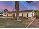 Charming single-level home with a convenient carport, displaying a well-maintained lawn and a welcoming facade at 317 E Belmont Ave, Phoenix, AZ 85020