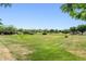 Expansive green space with mature trees in a well-maintained community provides a park-like setting for residents at 3648 E Fargo St, Mesa, AZ 85205