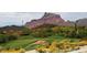 Scenic golf course view with mountain backdrop and desert flora provides a stunning view at 4050 N Terra Mesa Cir, Mesa, AZ 85207