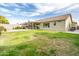 Spacious backyard featuring a covered patio, green grass, block fence, and mature tree at 4110 E Brighton Way, San Tan Valley, AZ 85140