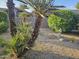 Backyard features desert landscaping, a statue, and mature palm trees at 4116 E Lupine Ave, Phoenix, AZ 85028