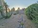 View of the backyard featuring desert landscaping, a statue, and lush greenery at 4116 E Lupine Ave, Phoenix, AZ 85028
