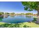 Scenic pond with a fountain and grassy banks, surrounded by mature trees and landscaping at 44454 W Oster Dr, Maricopa, AZ 85138