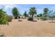 Large, landscaped backyard showcasing desert landscaping, mature trees and privacy fencing at 511 E Calavar Rd, Phoenix, AZ 85022
