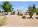 Contemporary home with desert landscaping, a mature tree, and a unique cactus feature at 511 E Calavar Rd, Phoenix, AZ 85022