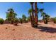 Expansive backyard featuring lush landscaping with numerous palm trees and decorative rock at 5322 N Oro Vista Ct, Litchfield Park, AZ 85340