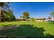 Expansive backyard featuring lush green grass, mature trees and a single story home at 6637 W Pershing Ave, Glendale, AZ 85304