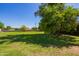 Backyard with lush green grass, mature citrus trees and a home with an RV parked on the side at 6637 W Pershing Ave, Glendale, AZ 85304
