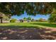 Expansive backyard with lush green grass and mature trees, providing a serene environment at 6637 W Pershing Ave, Glendale, AZ 85304