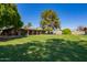 Spacious backyard featuring lush green grass, mature trees, and a covered patio area at 6637 W Pershing Ave, Glendale, AZ 85304