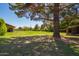Expansive backyard featuring lush green grass with mature trees on a sunny day at 6637 W Pershing Ave, Glendale, AZ 85304