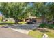 Long driveway leading to a brick ranch home with mature trees offering privacy and shade at 6637 W Pershing Ave, Glendale, AZ 85304