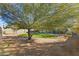 Large backyard with artificial turf at 1108 E Georgia Ave, Phoenix, AZ 85014