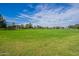 Vast green space for recreational activities, enhanced by mature trees at 1187 E Frances Ln, Gilbert, AZ 85295