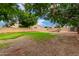 Large backyard with trees at 1377 W Park Ave, Gilbert, AZ 85233