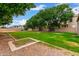 Spacious backyard with green grass and mature shade trees at 1377 W Park Ave, Gilbert, AZ 85233