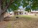 Backyard with mature trees and a swing, perfect for relaxation and outdoor fun at 1377 W Park Ave, Gilbert, AZ 85233