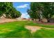 Expansive backyard featuring mature trees and lush green grass, ideal for outdoor activities at 1377 W Park Ave, Gilbert, AZ 85233