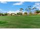 Expansive green park with palm trees and a playground, ideal for outdoor activities and recreation at 1377 W Park Ave, Gilbert, AZ 85233