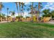 Vibrant community playground surrounded by lush green space and mature palm trees at 1377 W Park Ave, Gilbert, AZ 85233