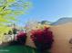 Inviting backyard boasts colorful bougainvillea against a backdrop of scenic desert mountain views at 13914 E Laurel Ln, Scottsdale, AZ 85259