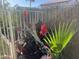 Tropical landscaping with vibrant red flowers and flamingo decor adds a touch of paradise to this inviting outdoor space at 15939 W Post Dr, Surprise, AZ 85374