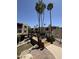 Scenic view of a community water feature, spanned by a charming wooden bridge, and lush desert landscaping at 205 N 74Th St # 201, Mesa, AZ 85207