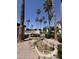 View of desert landscaping featuring a decorative water feature, mature palms and shade trees, and community buildings at 205 N 74Th St # 201, Mesa, AZ 85207